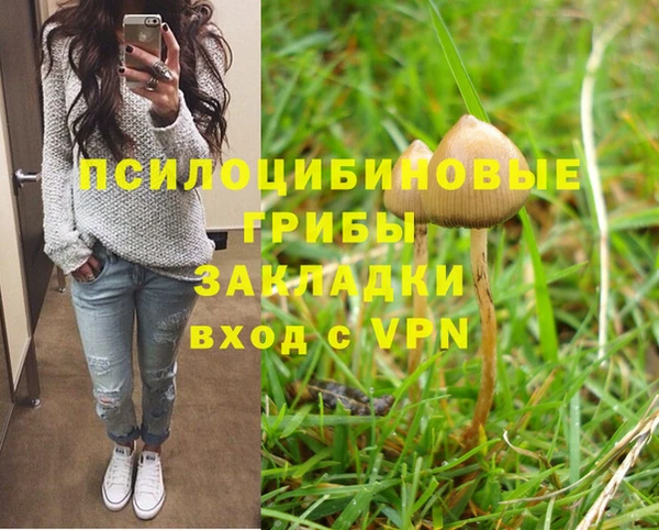 гидропоника Алексин
