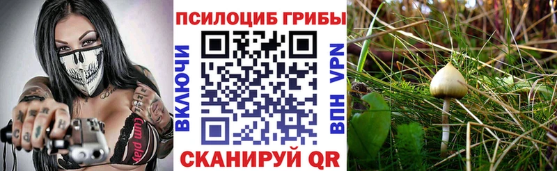 Галлюциногенные грибы Cubensis  Ува 